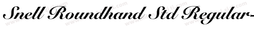 Snell Roundhand Std Regular字体转换